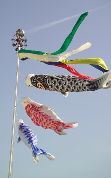 Colorful streamers painted to look like carp fly on a flagpole.